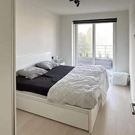 Luxurious In With Wifi